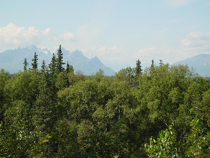 Picture 012